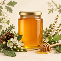 Wild Forest Honey